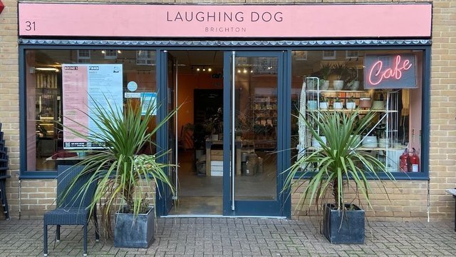 38 Work-Friendly Places with Free WiFi in Brighton